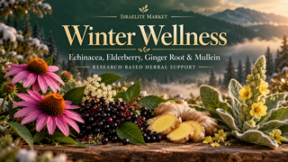Winter Wellness: What Science Reveals About Echinacea, Elderberry, Ginger Root & Mullein