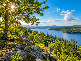 Summer Seasonal Wellness