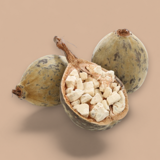 Polvo de superfruta Boabab
