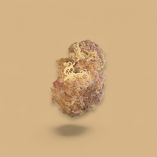 Eucheuma Cottonii (African Sea Moss)