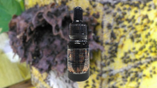 Stingless Bee Honey - Eye Drops (Raw)