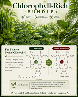 Green Food Supreme (Chlorophyll Rich)