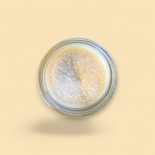 Shea Butter (4oz Jar)
