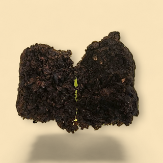 {Imported} Stingless Bee Propolis (Handcrafted)
